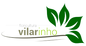 VILARINH1O-logo