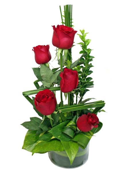 rosa